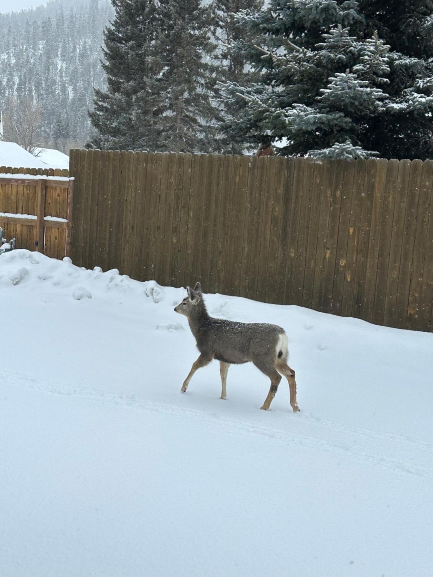 Deer Lodge Red River Esterno foto